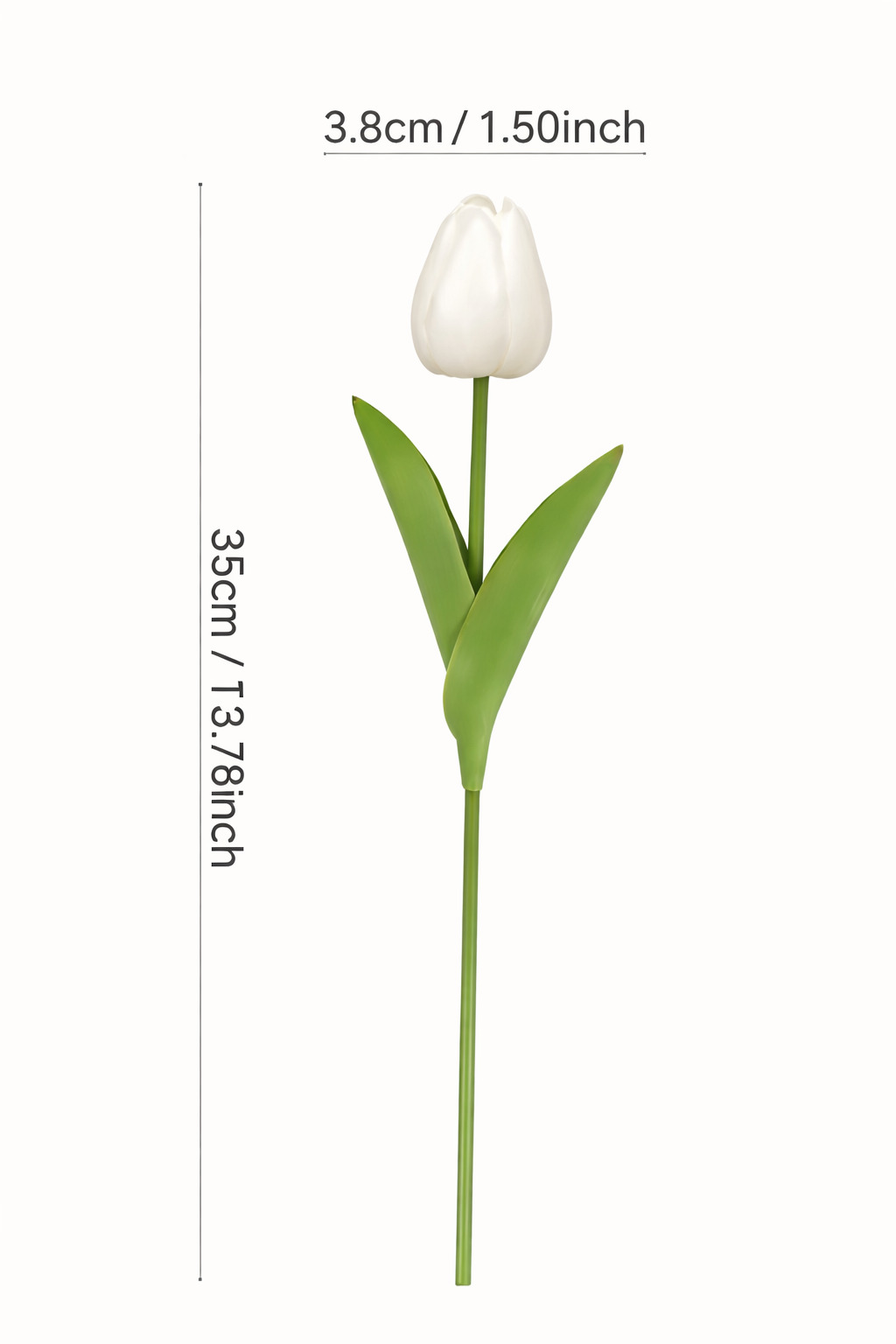 Lina | Tulip Styling Set